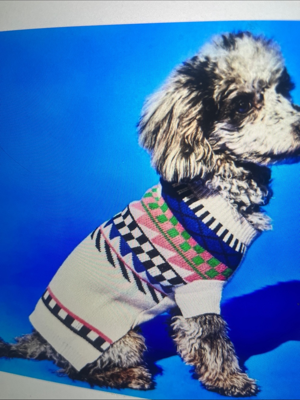 Geometric Colorblock Knit Dog Sweater in Cream, Pink & Green